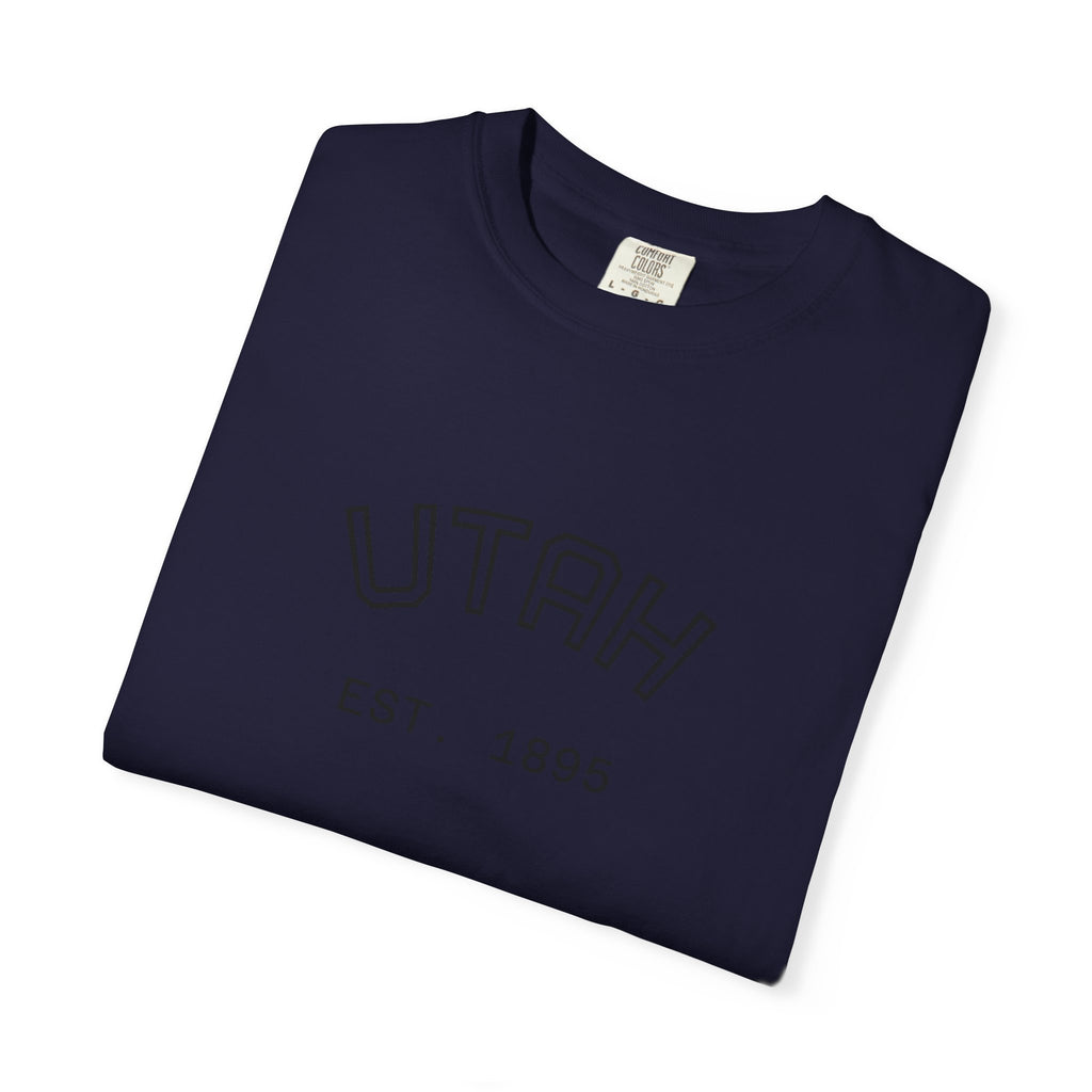 UTAH beehive state oversized tee
