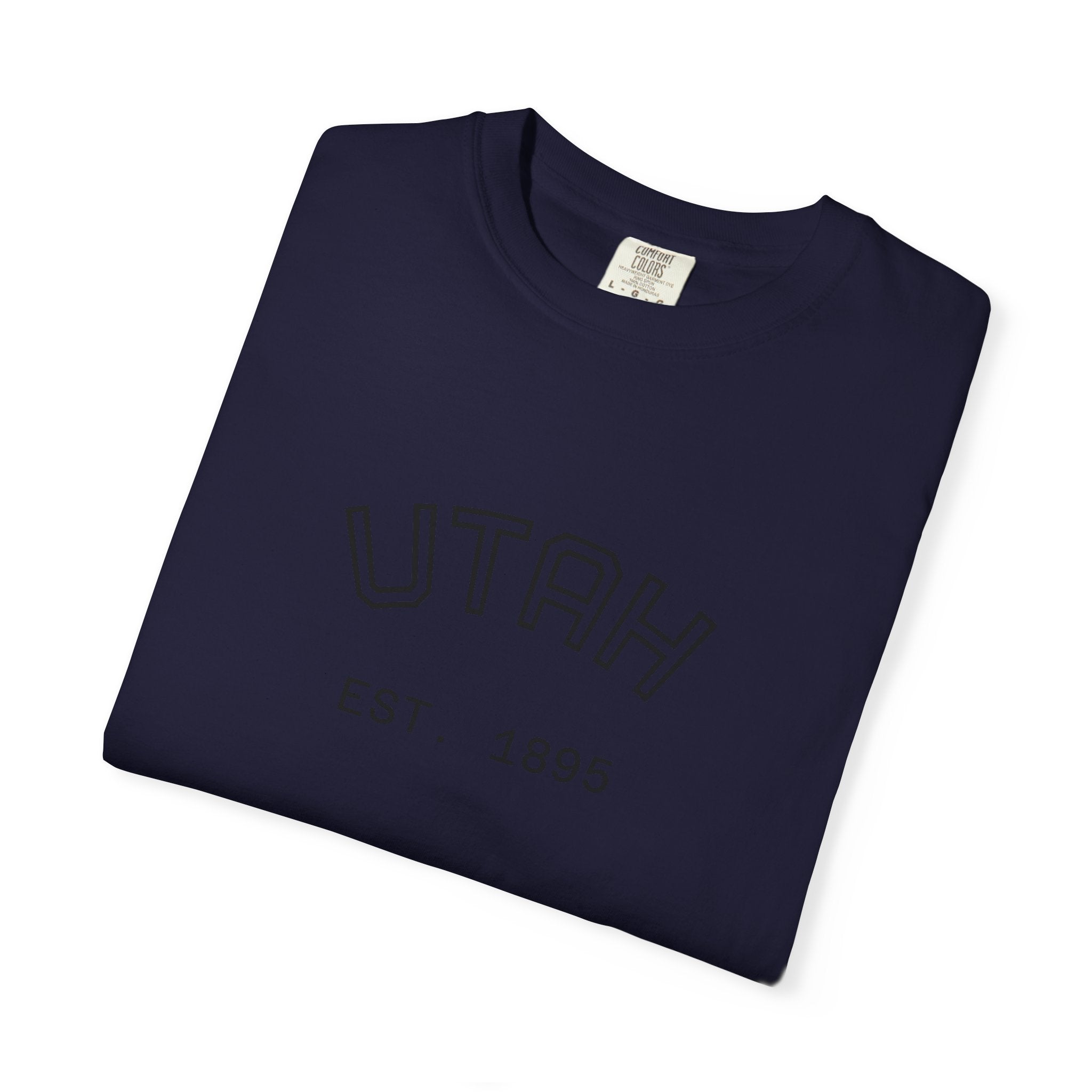UTAH beehive state oversized tee