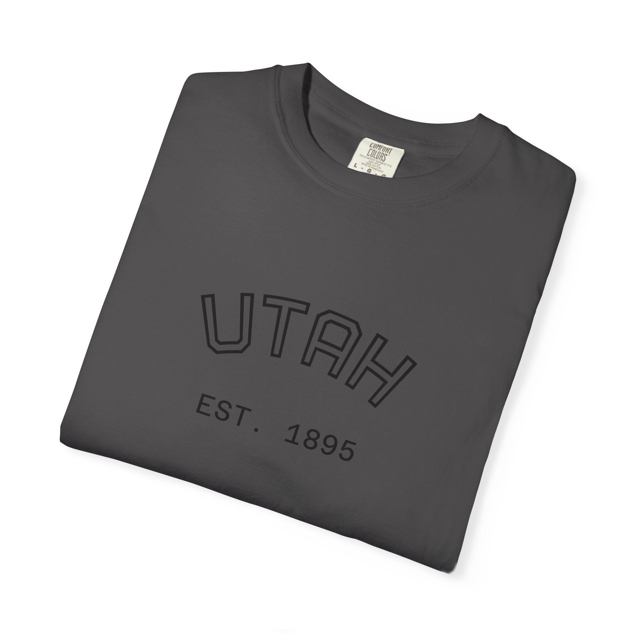 UTAH beehive state oversized tee