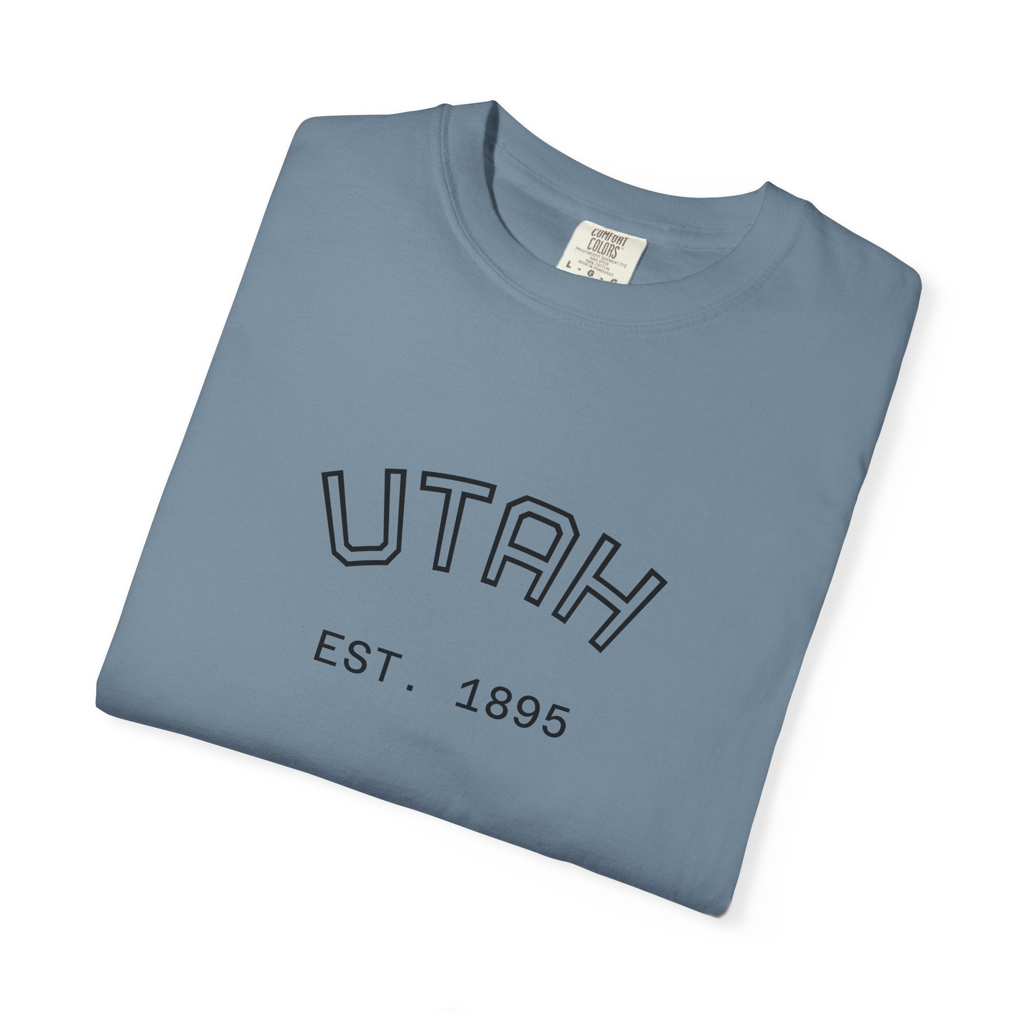 UTAH beehive state oversized tee