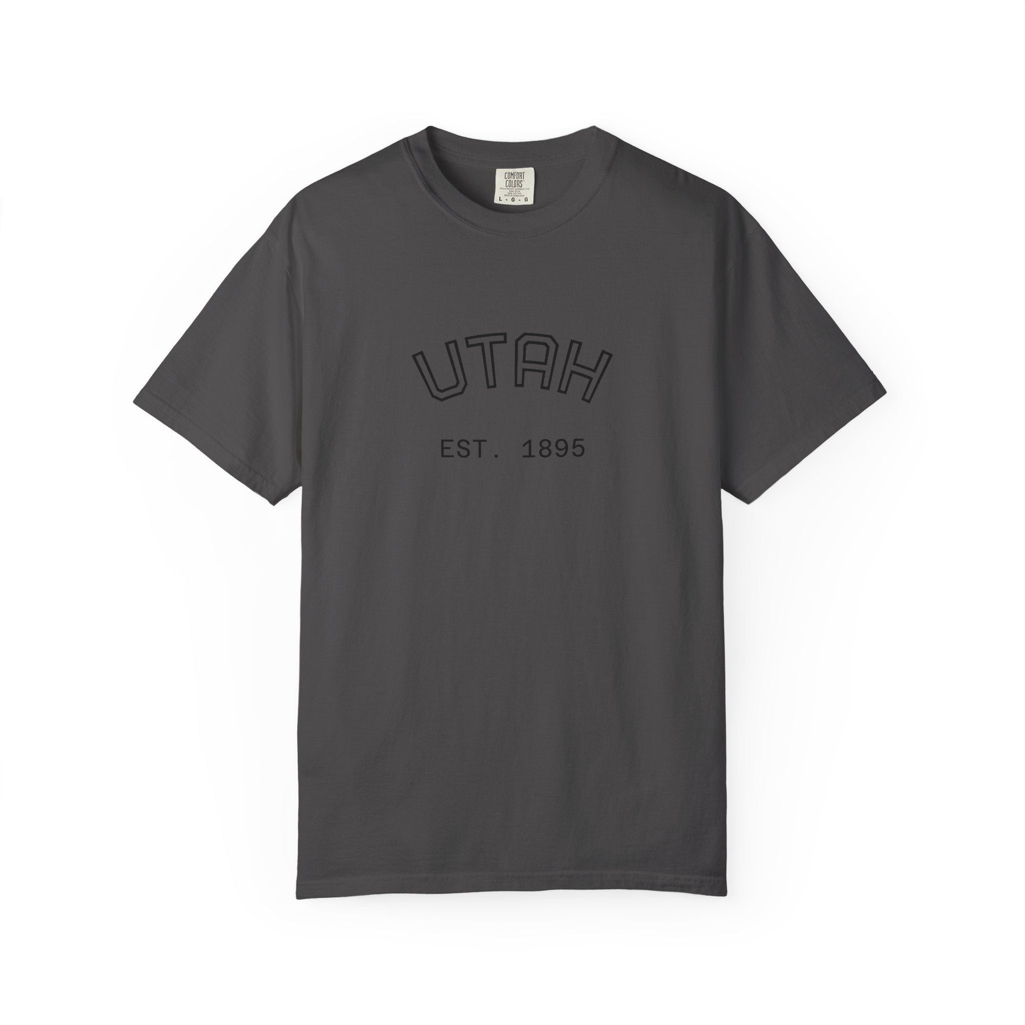 Utah Beehive State Oversized Graphic Tee