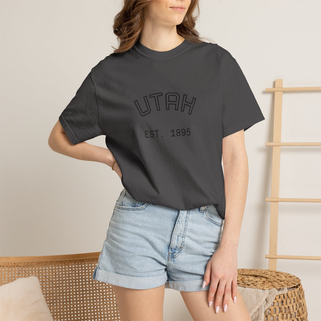 UTAH beehive state oversized tee