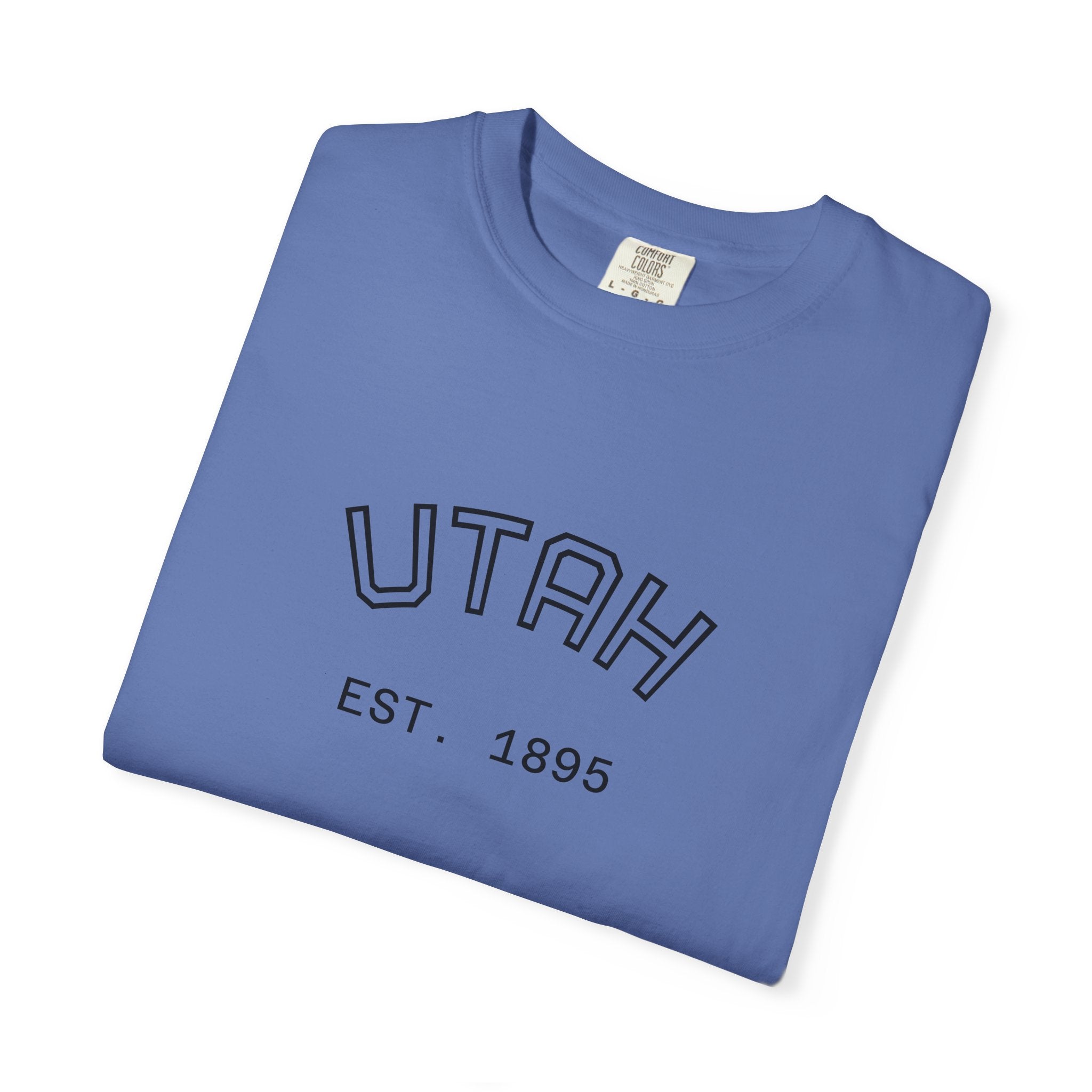 UTAH beehive state oversized tee